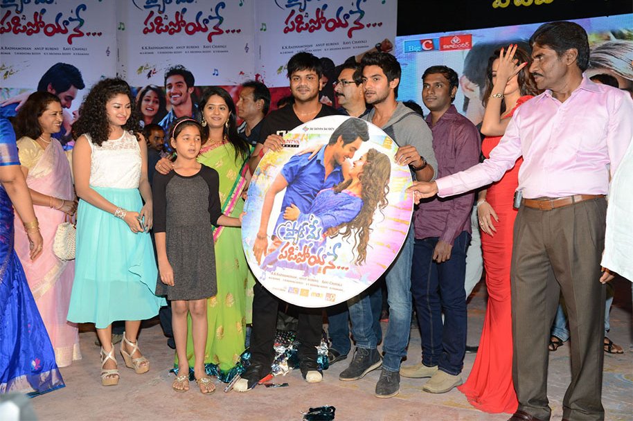 Pyaar-Mein-Padipoyane-Audio-Launch